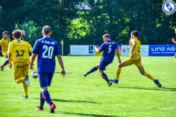 Fotograf_-_Robert_Scheidl-6_84.jpg