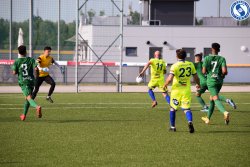 Fotograf_-_Robert_Scheidl_(11_von_169).jpg