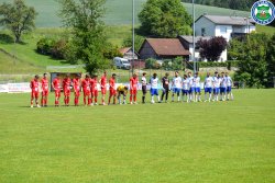 Bild_(1_von_131)_2.jpg