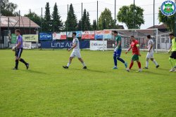 Bild_(1_von_177)_3.jpg
