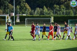 Bild_(1_von_195).jpg