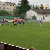 Fotograf_-_Robert_Scheidl_(6)_62.jpg