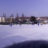 Fotograf_-_Robert_Scheidl_(18)_58.jpg