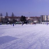 Fotograf_-_Robert_Scheidl_(19)_58.jpg
