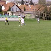 Fotograf_-_Robert_Scheidl_(32)_38.jpg