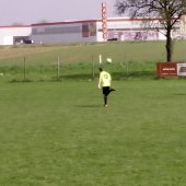 Fotograf_-_Robert_Scheidl_(79)_6.jpg