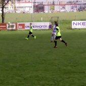 Fotograf_-_Robert_Scheidl_(87)_5.jpg