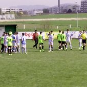 Fotograf_-_Robert_Scheidl_(98)_3.jpg
