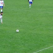 Fotograf_-_Robert_Scheidl_(37)_36.jpg