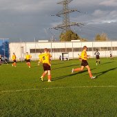 IMG_20130917_181317.jpg