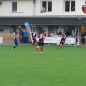 Fotograf_-_Robert_Scheidl_(24)_2.JPG