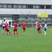 Fotograf_-_Robert_Scheidl_(26)_4.JPG