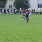 Fotograf_-_Robert_Scheidl_(18)_5.JPG