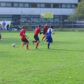 Fotograf_-_Robert_Scheidl_(38)_3.JPG