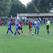 Fotograf_-_Robert_Scheidl_(55)_2.JPG