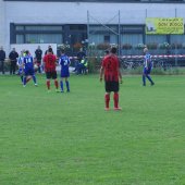 Fotograf_-_Robert_Scheidl_(60)_2.JPG