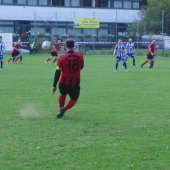 Fotograf_-_Robert_Scheidl_(63)_2.JPG