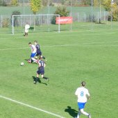 Fotograf_-_Robert_Scheidl_(15)_9.JPG