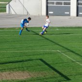 Fotograf_-_Robert_Scheidl_(19)_9.JPG