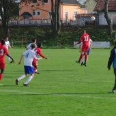 Fotograf_-_Robert_Scheidl_(8)_16.JPG