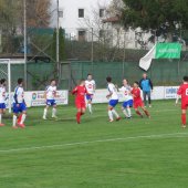 Fotograf_-_Robert_Scheidl_(49)_5.JPG