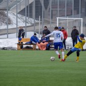 Fotograf_-_Robert_Scheidl-111_2.jpg
