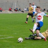 Fotograf_-_Robert_Scheidl_(104_von_127).jpg