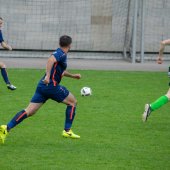 Fotograf_-_Robert_Scheidl_(30_von_99).jpg