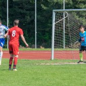 Fotograf_-_Robert_Scheidl_(58_von_111).jpg