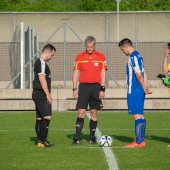 Fotograf_-_Robert_Scheidl_(3_von_120).jpg