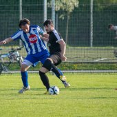 Fotograf_-_Robert_Scheidl_(9_von_120).jpg