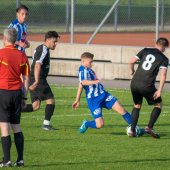 Fotograf_-_Robert_Scheidl_(39_von_120).jpg