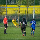 Fotograf_-_Robert_Scheidl_(69_von_120).jpg
