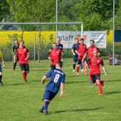 Fotograf_-_Robert_Scheidl_(28_von_111)_2.jpg