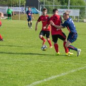 Fotograf_-_Robert_Scheidl_(54_von_111)_2.jpg