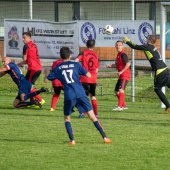 Fotograf_-_Robert_Scheidl_(91_von_111)_2.jpg