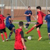 Fotograf_-_Robert_Scheidl_(107_von_111)_2.jpg