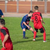 Fotograf_-_Robert_Scheidl_(109_von_111)_2.jpg