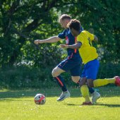 Fotograf_-_Robert_Scheidl_(6_von_199).jpg