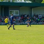 Fotograf_-_Robert_Scheidl_(9_von_199).jpg