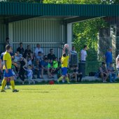 Fotograf_-_Robert_Scheidl_(15_von_199).jpg