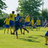 Fotograf_-_Robert_Scheidl_(31_von_199).jpg