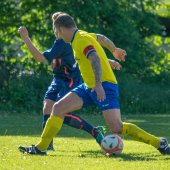 Fotograf_-_Robert_Scheidl_(40_von_199).jpg