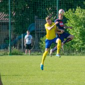 Fotograf_-_Robert_Scheidl_(67_von_199).jpg