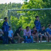 Fotograf_-_Robert_Scheidl_(71_von_199).jpg