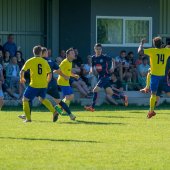 Fotograf_-_Robert_Scheidl_(80_von_199).jpg