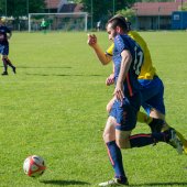 Fotograf_-_Robert_Scheidl_(87_von_199).jpg
