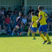 Fotograf_-_Robert_Scheidl_(100_von_199).jpg