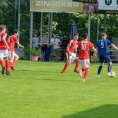Fotograf_-_Robert_Scheidl_(15_von_102).jpg