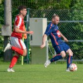 Fotograf_-_Robert_Scheidl_(19_von_102).jpg